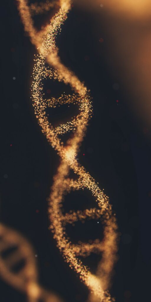 Photo de ANIRUDH sur Unsplash ADN